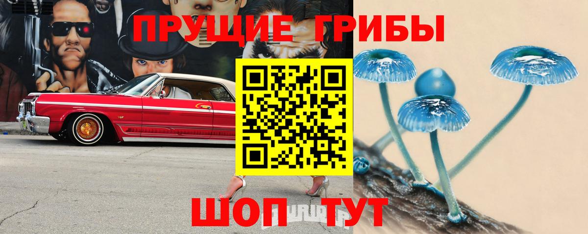 Нововоронеж  Псилоцибиновые грибы ЛСД  как найти закладки  Вход с VPN 