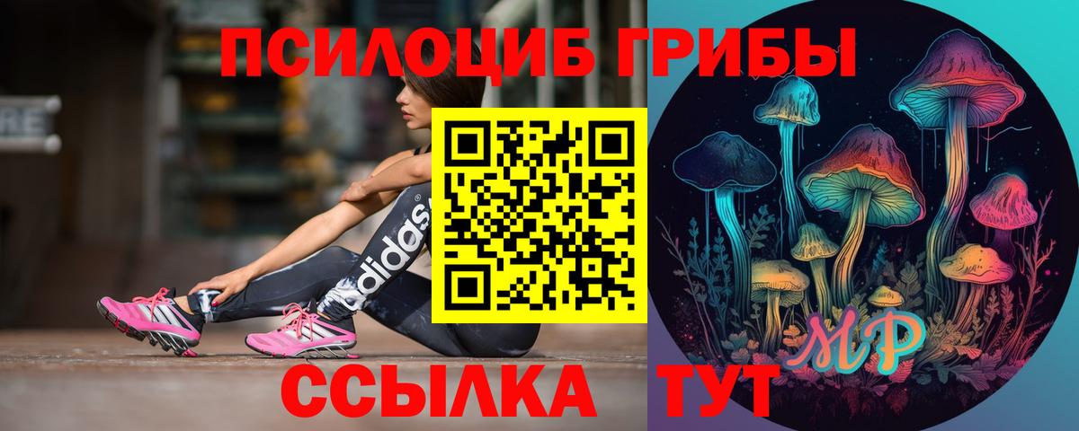 Псилоцибиновые грибы мухоморы Нововоронеж